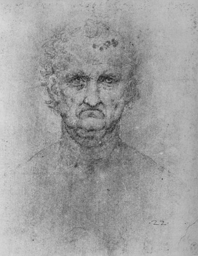 Full Face of an Old Man by Leonardo da Vinci