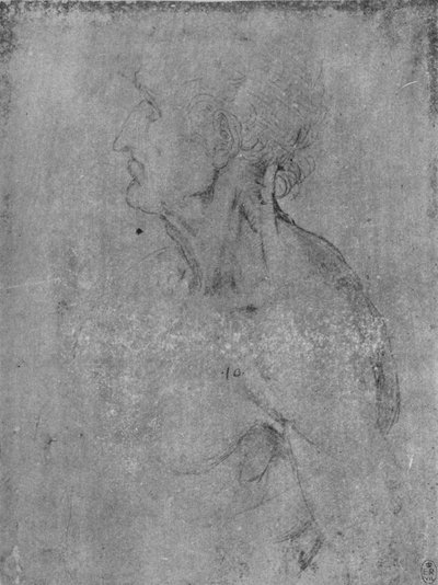 Head and Bust of an Old Man to the Left by Leonardo da Vinci