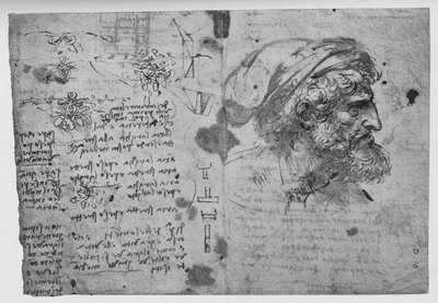 Head and Shoulders of a Bearded Man by Leonardo da Vinci
