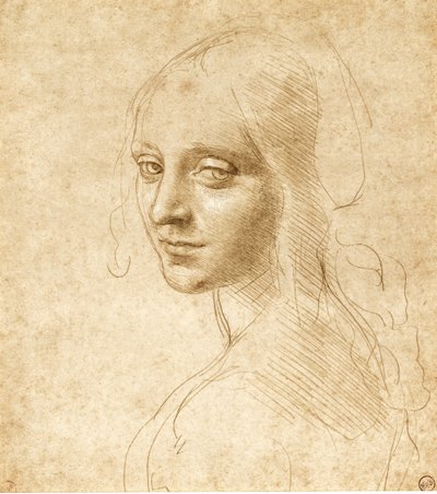 Head and Shoulders of a Girl by Leonardo da Vinci