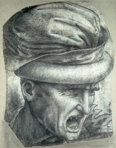 Head of a Warrior (detail) by Leonardo da Vinci
