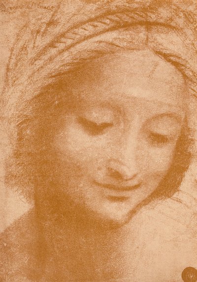 Head of a Woman by Leonardo da Vinci