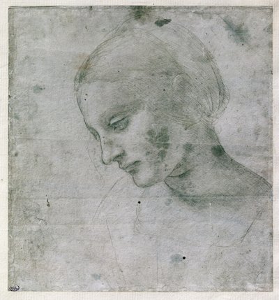 Head of a Young Woman or Head of the Virgin, c.1490 by Leonardo da Vinci