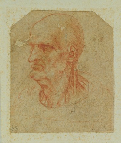 Head of a beardless old man, left profile by Leonardo da Vinci