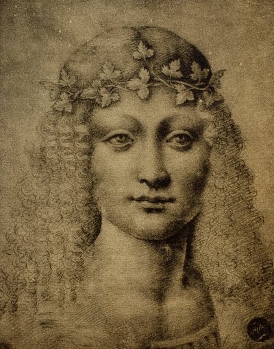 Head of a Girl or of a Young Bacchus, Drawing by Leonardo da Vinci by Leonardo da Vinci
