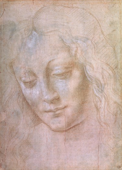 Head of a woman by Leonardo da Vinci