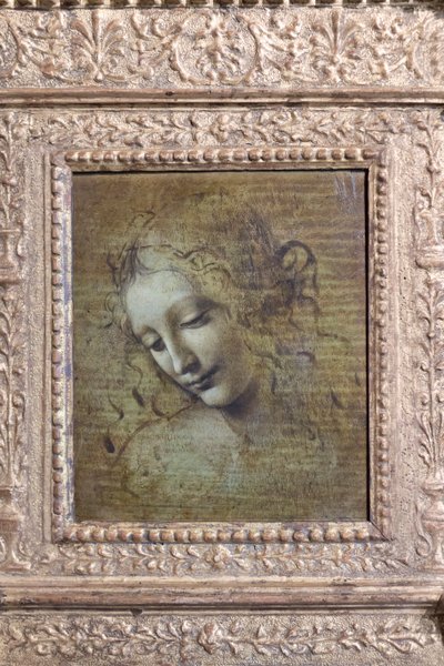 Head of a Woman, called 