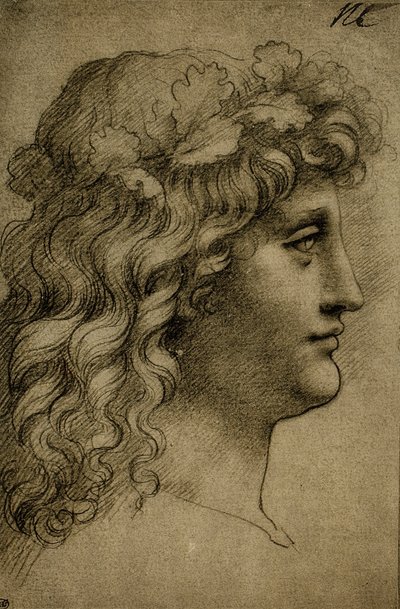 Head of a Young Man by Leonardo da Vinci