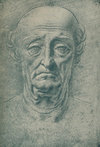 Head of an Old Man, c15th Century, 1932 by Leonardo da Vinci