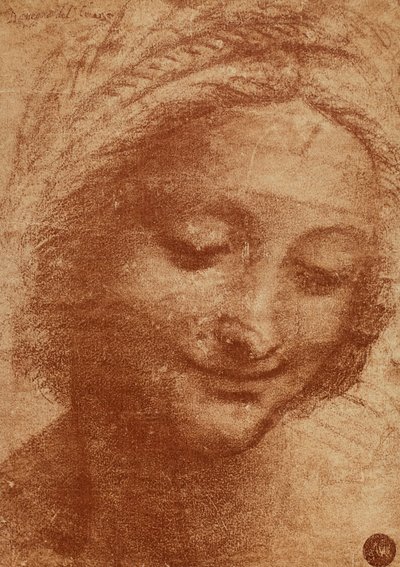 Head of the Woman or of Saint Anne, Drawing by Leonardo da Vinci by Leonardo da Vinci