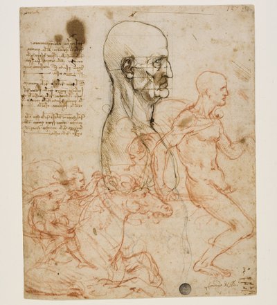 Human Bust in Profile with Study of Proportions by Leonardo da Vinci