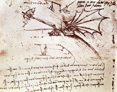 Testing the Load Tolerance of a Wing by Leonardo da Vinci