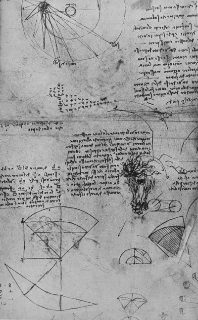 Notes on Astronomy and Study of a Horse