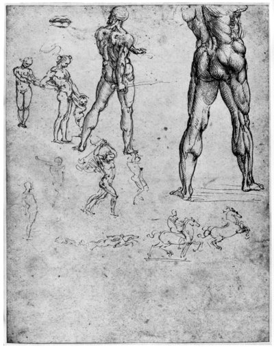 Nude studies for The Battle of Anghiari, c1503-1505 by Leonardo da Vinci