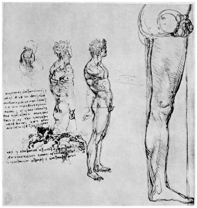 Nude studies for The Battle of Anghiari by Leonardo da Vinci