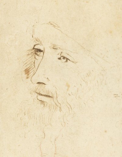 Portrait of Leonardo da Vinci by Leonardo da Vinci,
