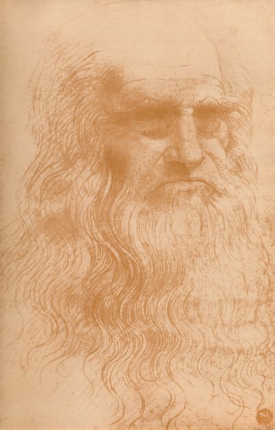 Portrait of a Man in Red Chalk, c1512 by Leonardo da Vinci
