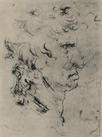Profile of a Man to the Right by Leonardo da Vinci