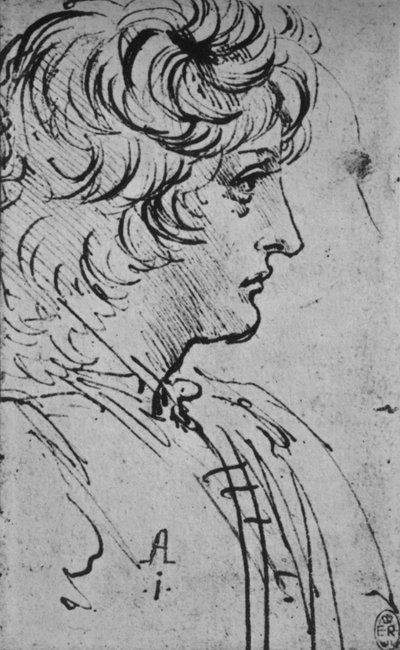 Profile of a Youth to the Right, c1480 by Leonardo da Vinci