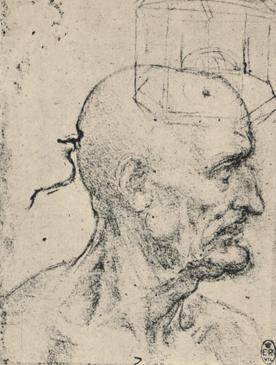 Profile to Right of a Bald Man, c1480, 1945 by Leonardo da Vinci