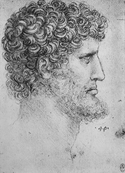 Profile to the Right of a Bearded Man, c1480 1945 by Leonardo da Vinci