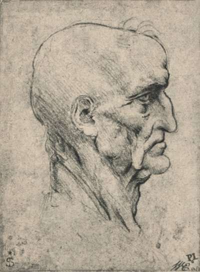 Profile to the Right of an Elderly Bald Man, c1480 by Leonardo da Vinci