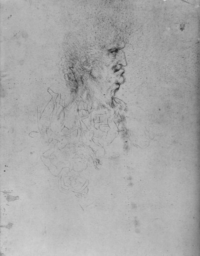 Profile to the Right of an Old Man by Leonardo da Vinci