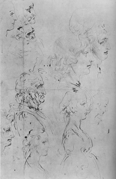 Profiles of Men and Half-Length of a Girl, c1490 by Leonardo da Vinci