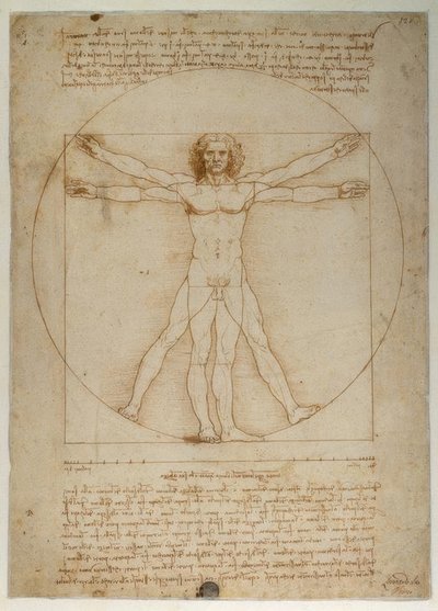 Proportional Scheme of the Human Figure According to Vitruvius by Leonardo da Vinci