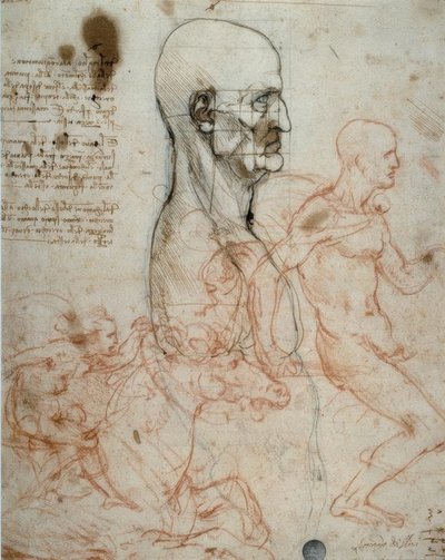 Proportional Scheme of the Human Head and Rider Studies by Leonardo da Vinci