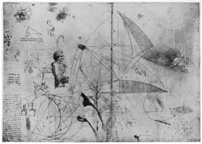 Sheet of Studies, Late 15th or Early 16th Century by Leonardo da Vinci