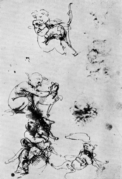 Studies for a Madonna Del Gatto by Leonardo da Vinci