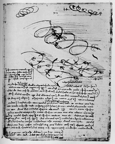 Studies of Birds in Flight When Rising and Circling by Leonardo da Vinci