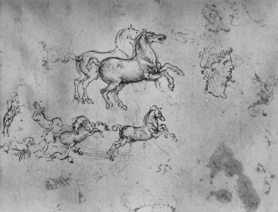Studies of Galloping Horses and a Head by Leonardo da Vinci