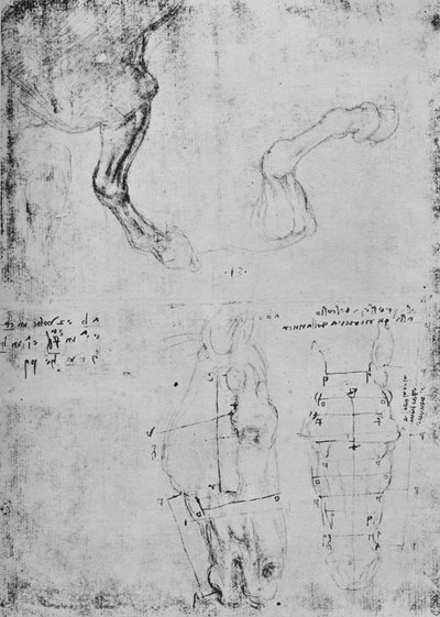 Studies of Horses