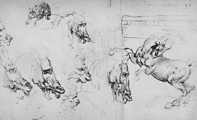 Studies of Horses