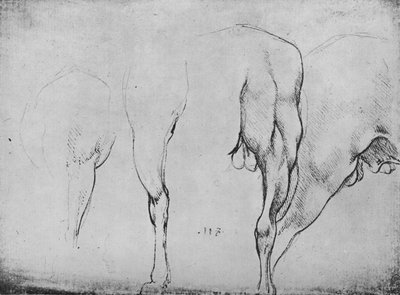 Studies of Horses Legs by Leonardo da Vinci