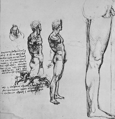 Studies of Nudes and Smaller Sketch of a Battle by Leonardo da Vinci