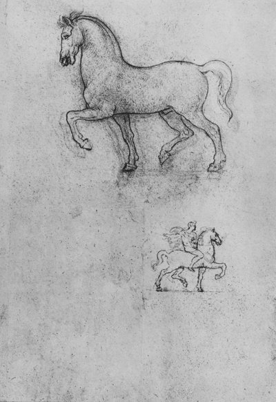 Studies of a Horse and One of a Horse and Rider by Leonardo da Vinci