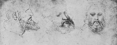 Studies of the Head of Cesare Borgia from Three Points of View by Leonardo da Vinci