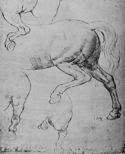Studies of the Hind-Quarters and of the Hind-Legs of a Horse by Leonardo da Vinci
