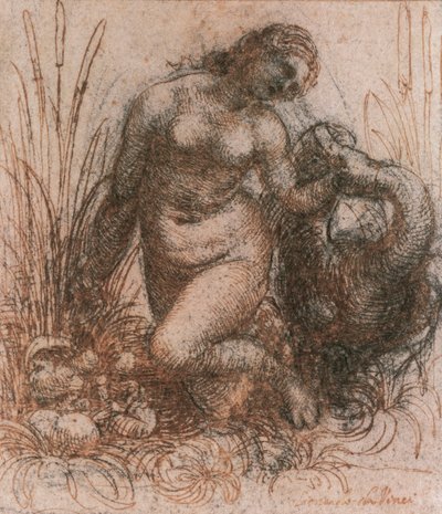 Study for Leda and the Swan by Leonardo da Vinci