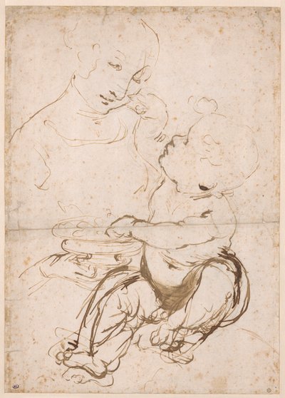 Study for the Madonna with a Fruit Bowl by Leonardo da Vinci