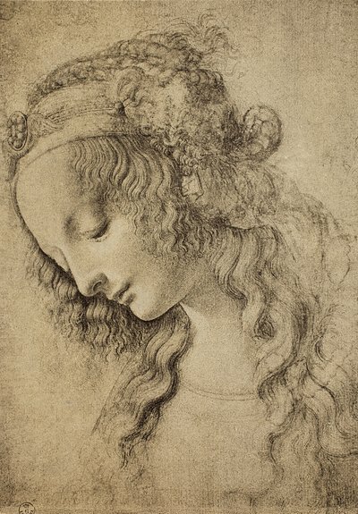 Study for the Head of Magdalene by Leonardo da Vinci