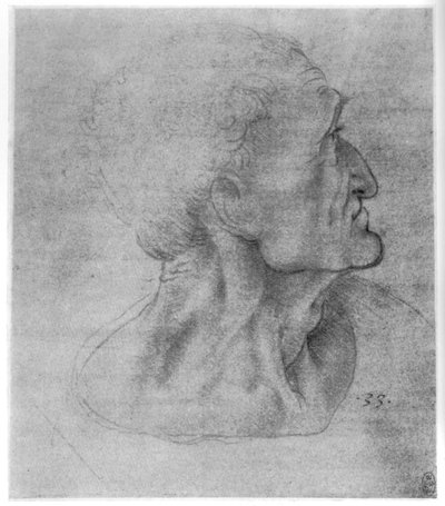 Study of Judas for The Last Supper by Leonardo da Vinci