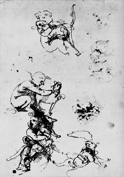 Study of a Child with a Cat, 1478-1481 by Leonardo da Vinci