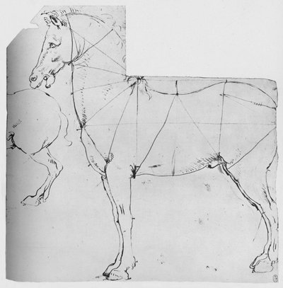 Study of a Horse Marked Out for Measurement by Leonardo da Vinci