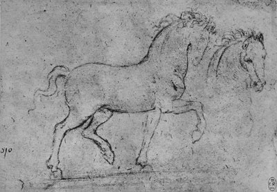 Study of a Horse and of a Horse