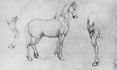 Study of a Horse, Its Near Hind-Leg and Its Hind-Quarters, c. 1480 by Leonardo da Vinci