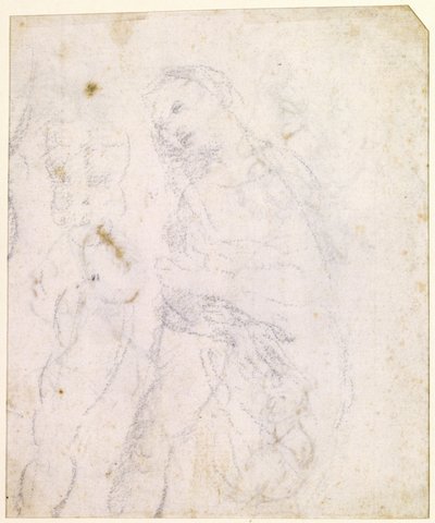 Study of a Madonna by Leonardo da Vinci